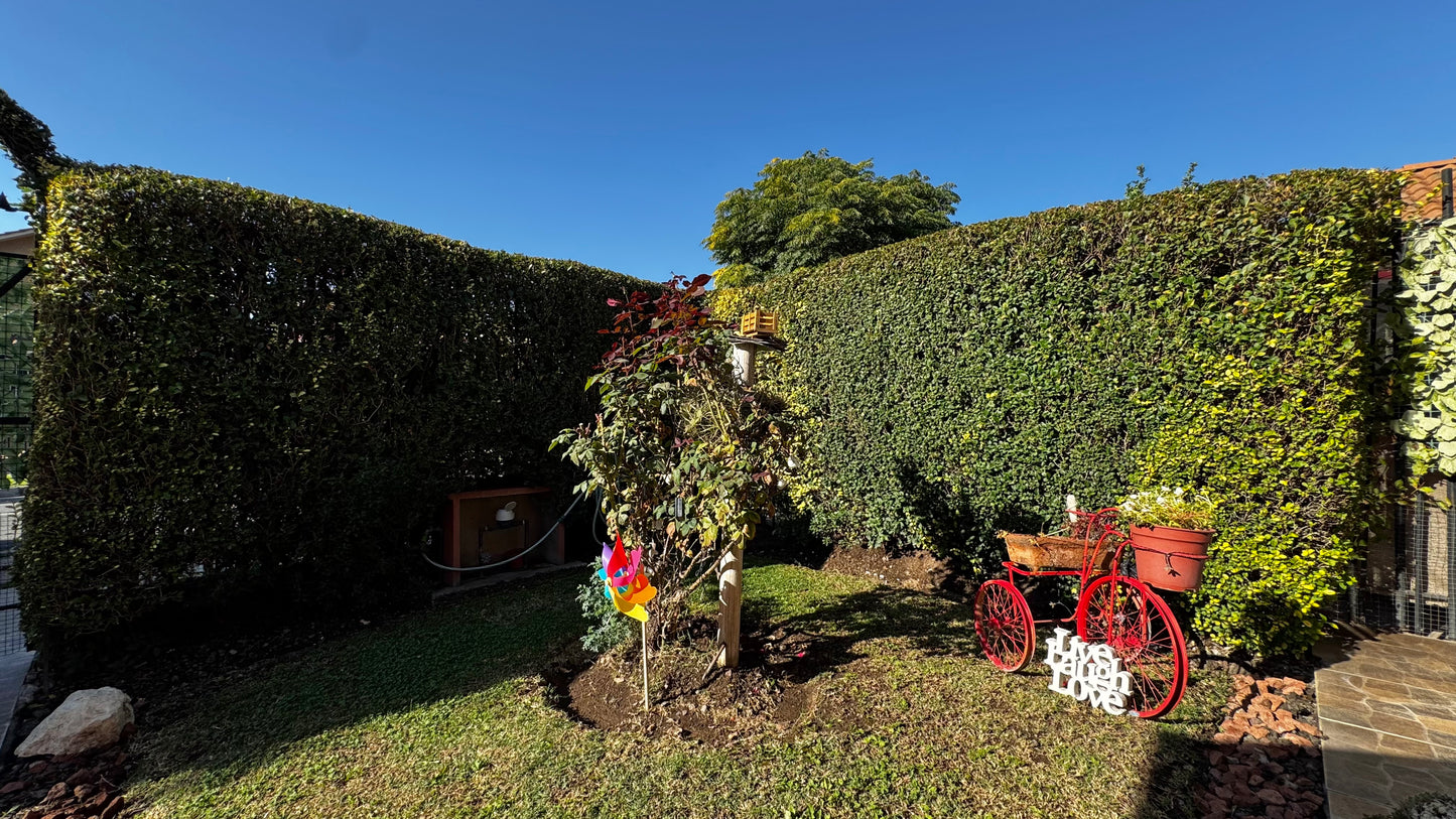 Casa en perfecto estado en El Abrazo 🏡