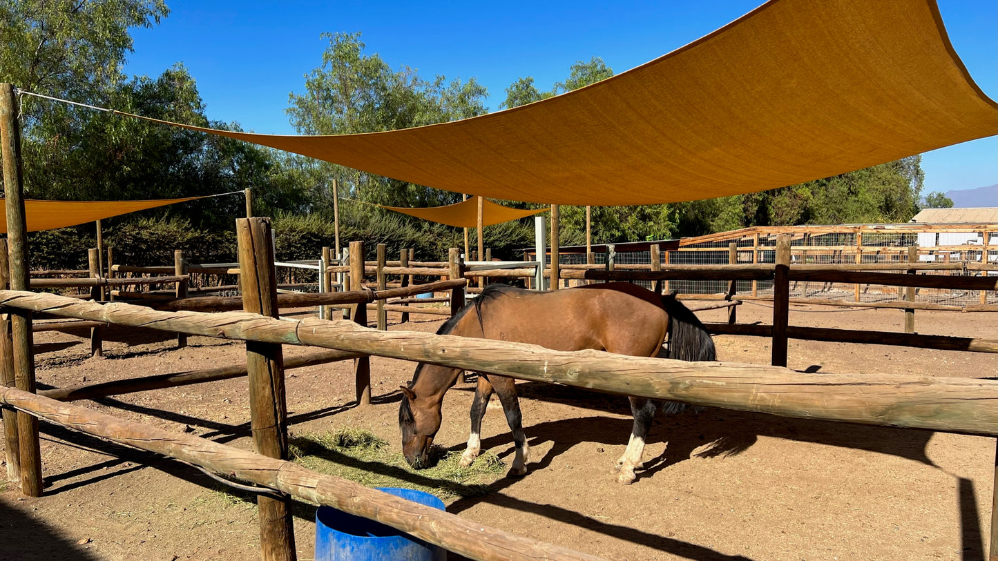 Parcela especial para criar tus animales, caballerizas y corrales. Sector Chacabuco