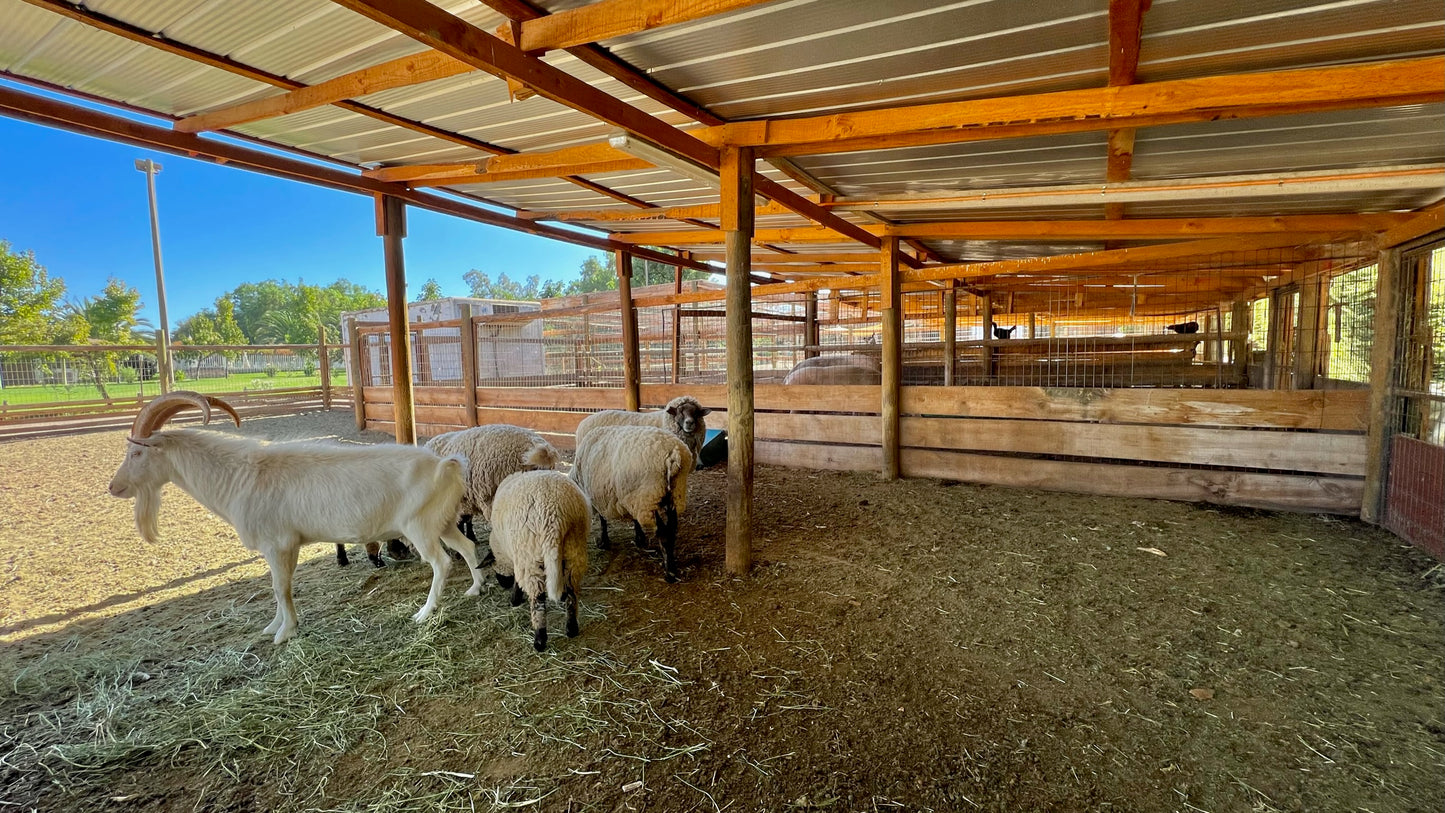 Parcela especial para criar tus animales, caballerizas y corrales. Sector Chacabuco