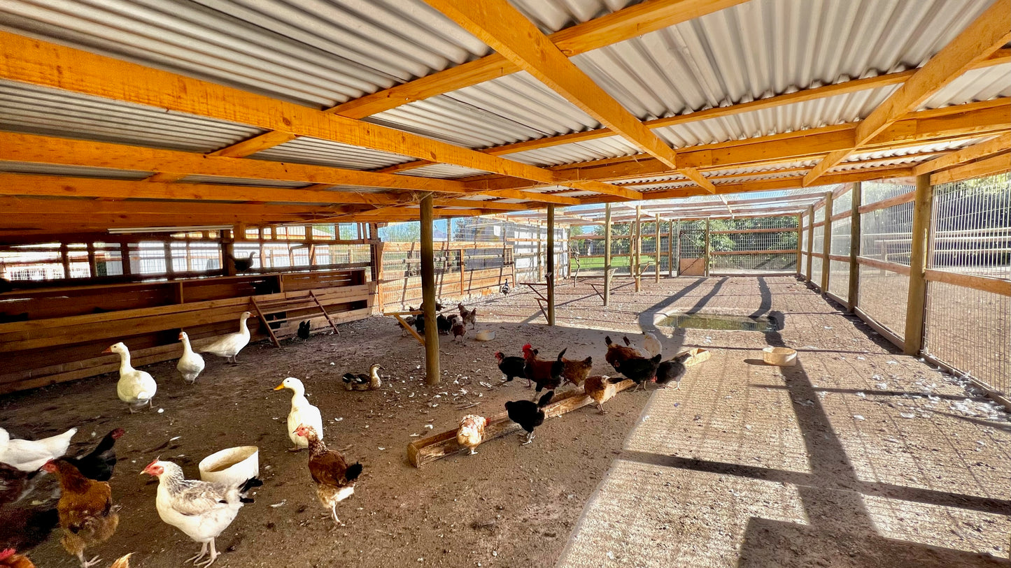 Parcela especial para criar tus animales, caballerizas y corrales. Sector Chacabuco