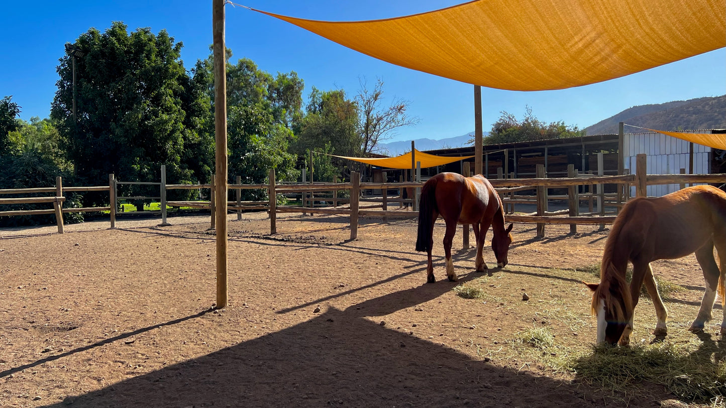 Parcela especial para criar tus animales, caballerizas y corrales. Sector Chacabuco
