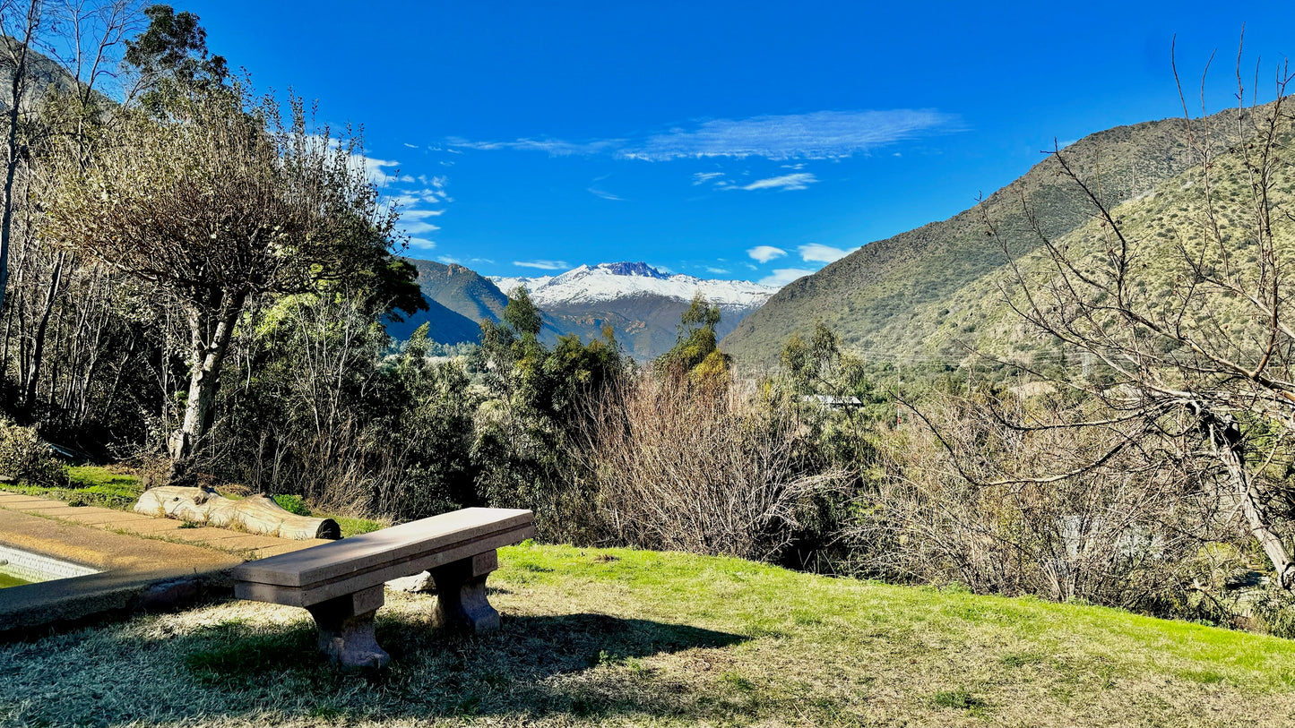 100 % Seguros Que Es Una Oportunidad Única.