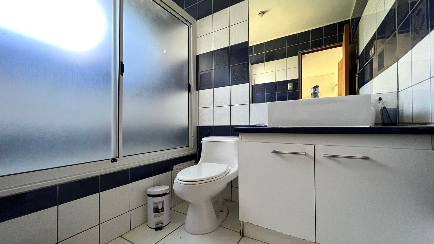 Jardines De Ensueño Que Te Enamorarán