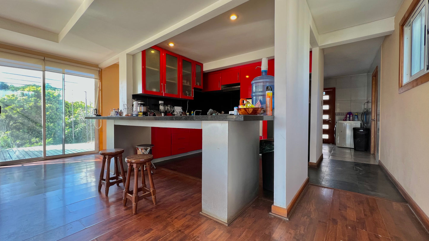 Jardines De Ensueño Que Te Enamorarán